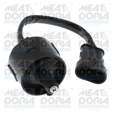 Water Sensor, fuel system